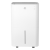 Осушитель воздуха Royal Clima RD-PC25-E Pacific Loft