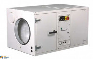 Осушитель воздуха Dantherm CDP 165 для бассейнов Осушитель воздуха Dantherm CDP 165 для бассейнов
